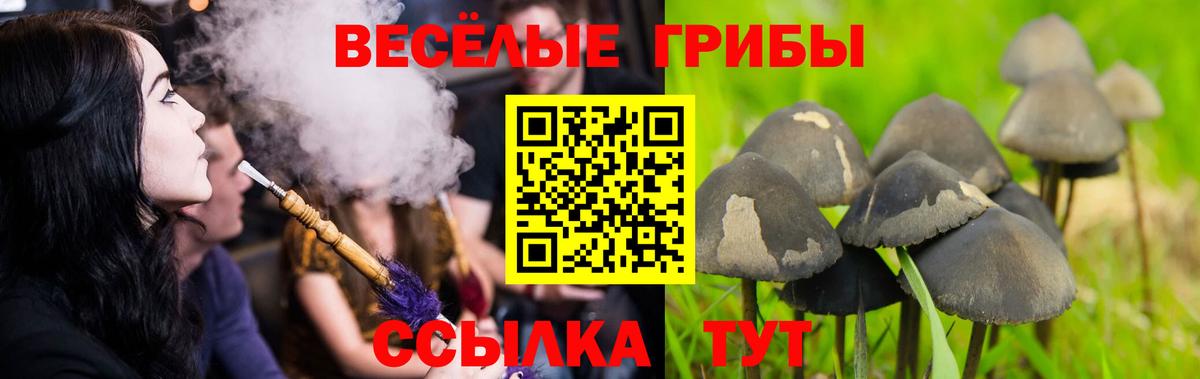 Галлюциногенные грибы Magic Shrooms Избербаш